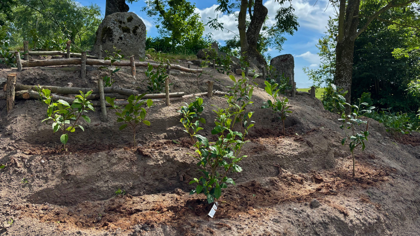 Teterrassen växer vidare: odling & vision - varför och hur gör man en terrassodling?