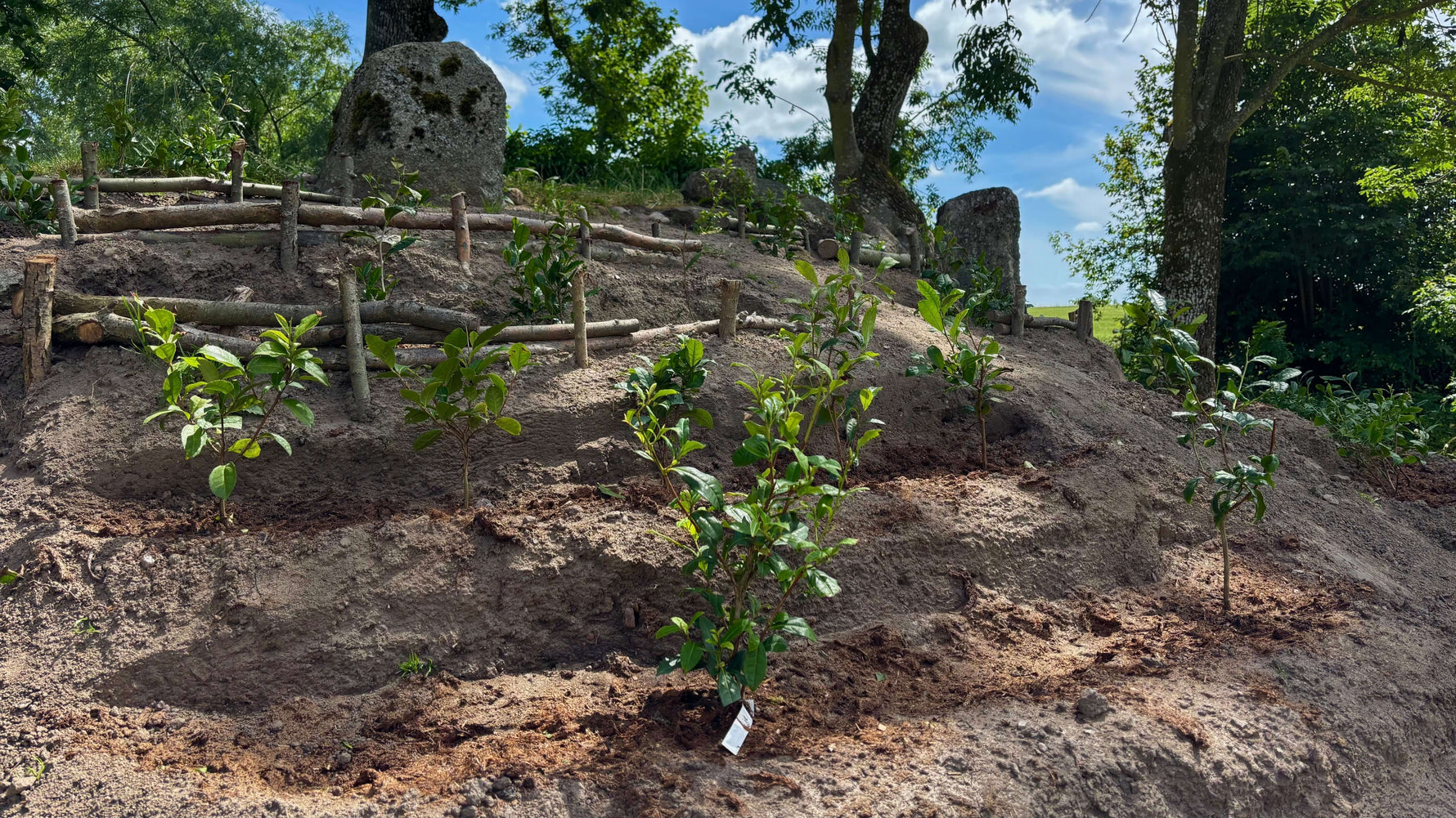 Teterrassen växer vidare: odling & vision - varför och hur gör man en terrassodling?