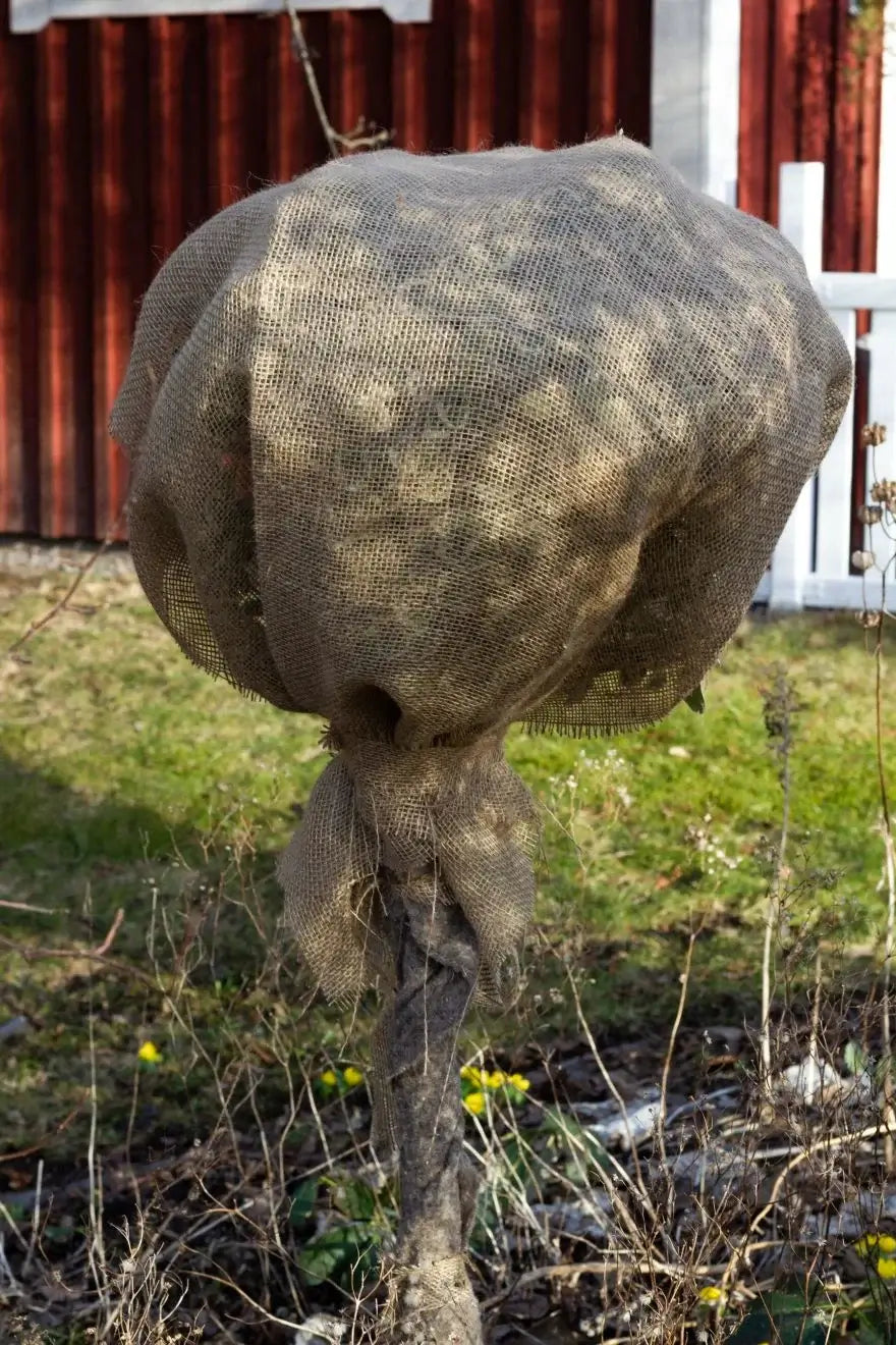 Vintertäckning