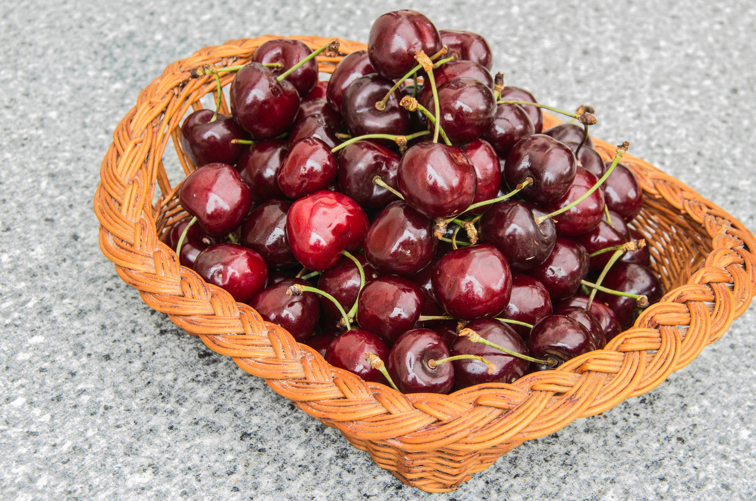 Bigarråträd 'Lapins' i olika storlekar 80-150 cm (Prunus avium)