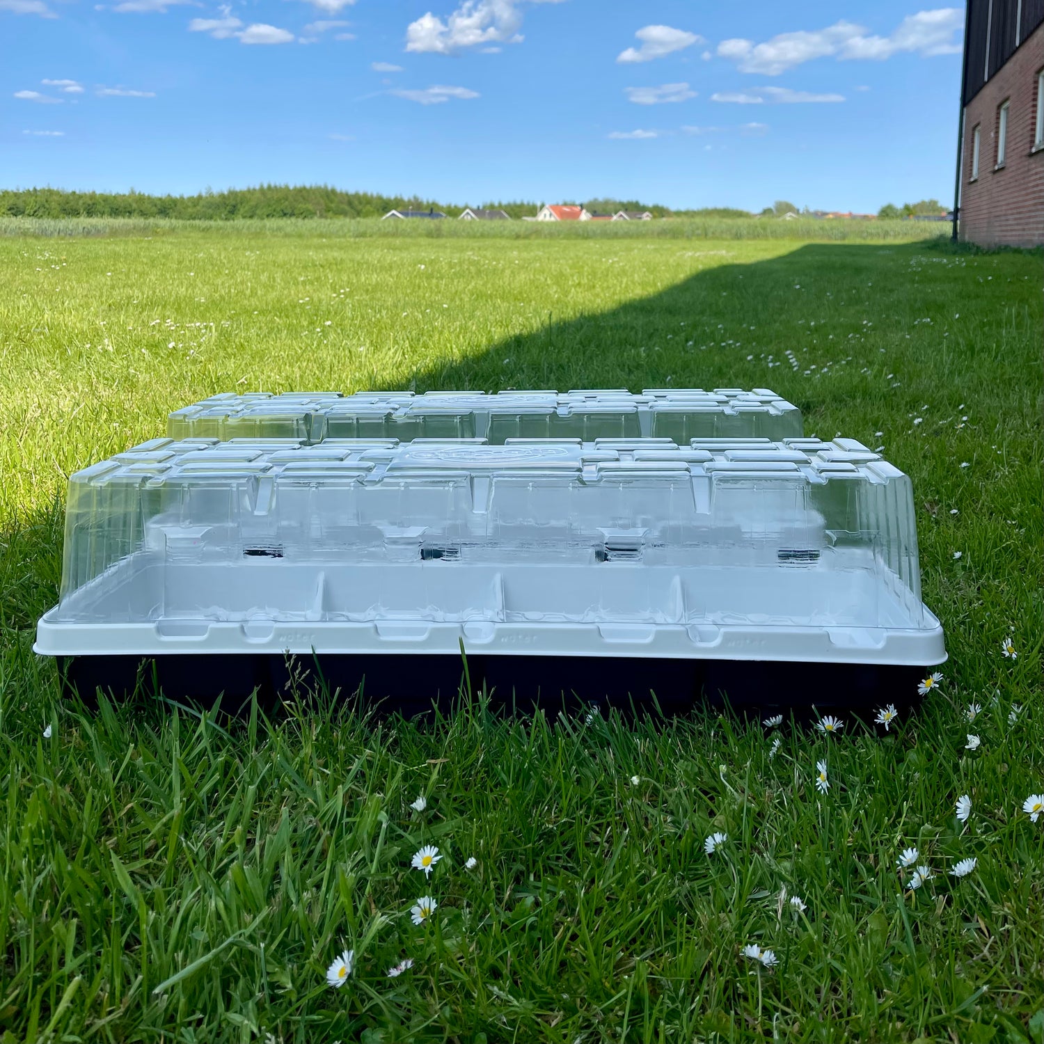 Botten till fönsterodlingstråg