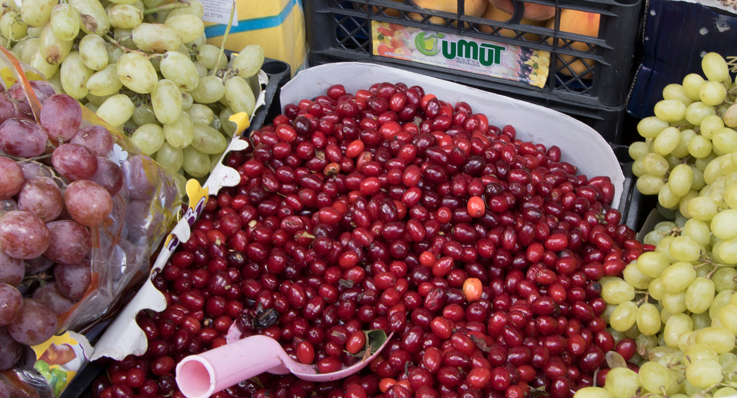 Körsbärskornell 40-80 cm (Cornus mas)