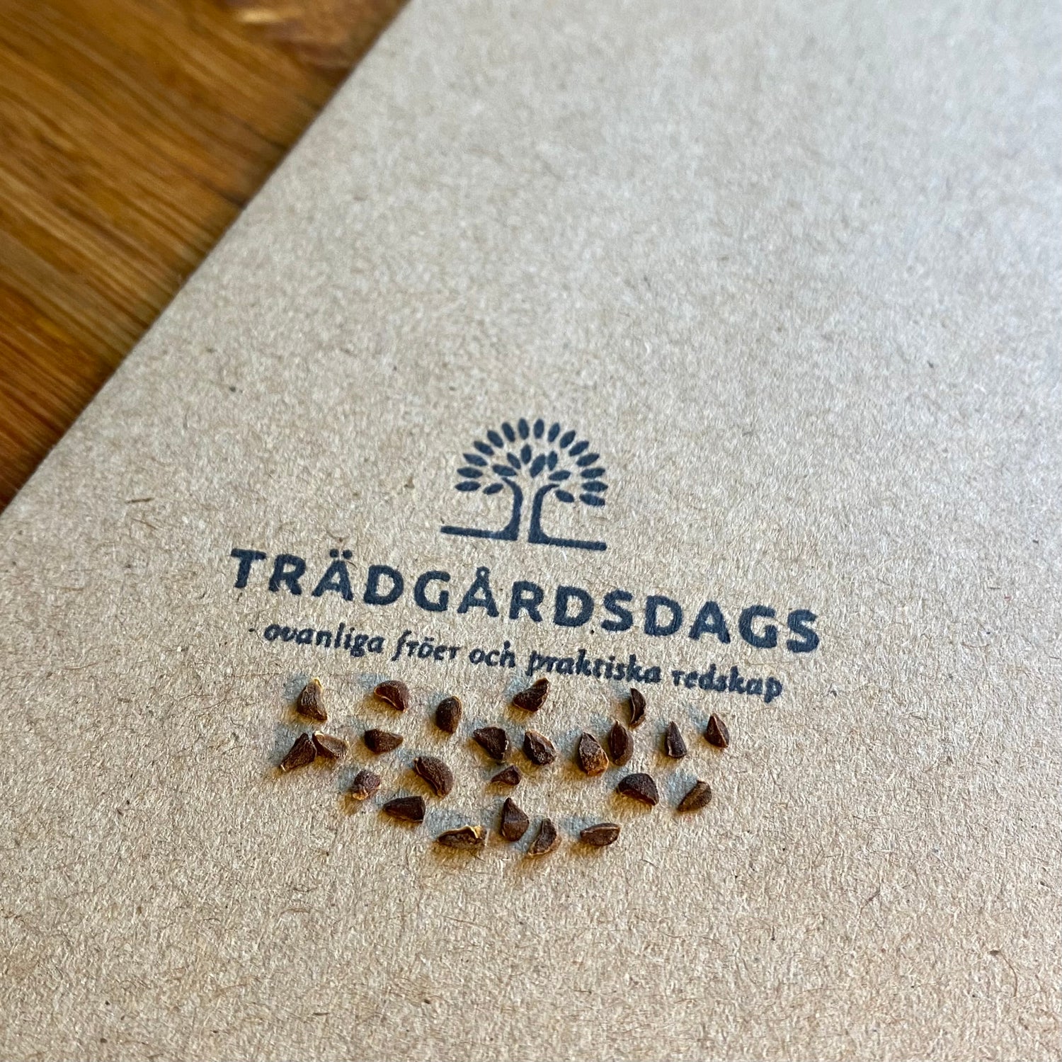 Harmelbuske / Syrisk ruta (Peganum harmala)