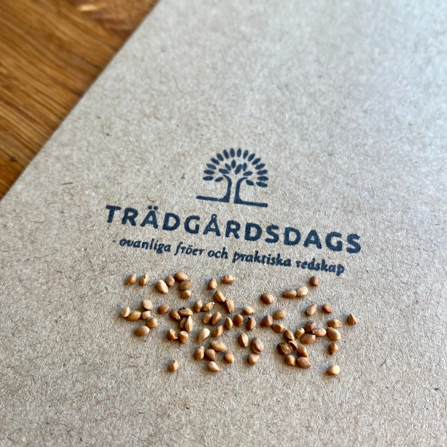 Vitt Mullbär (Morus alba)