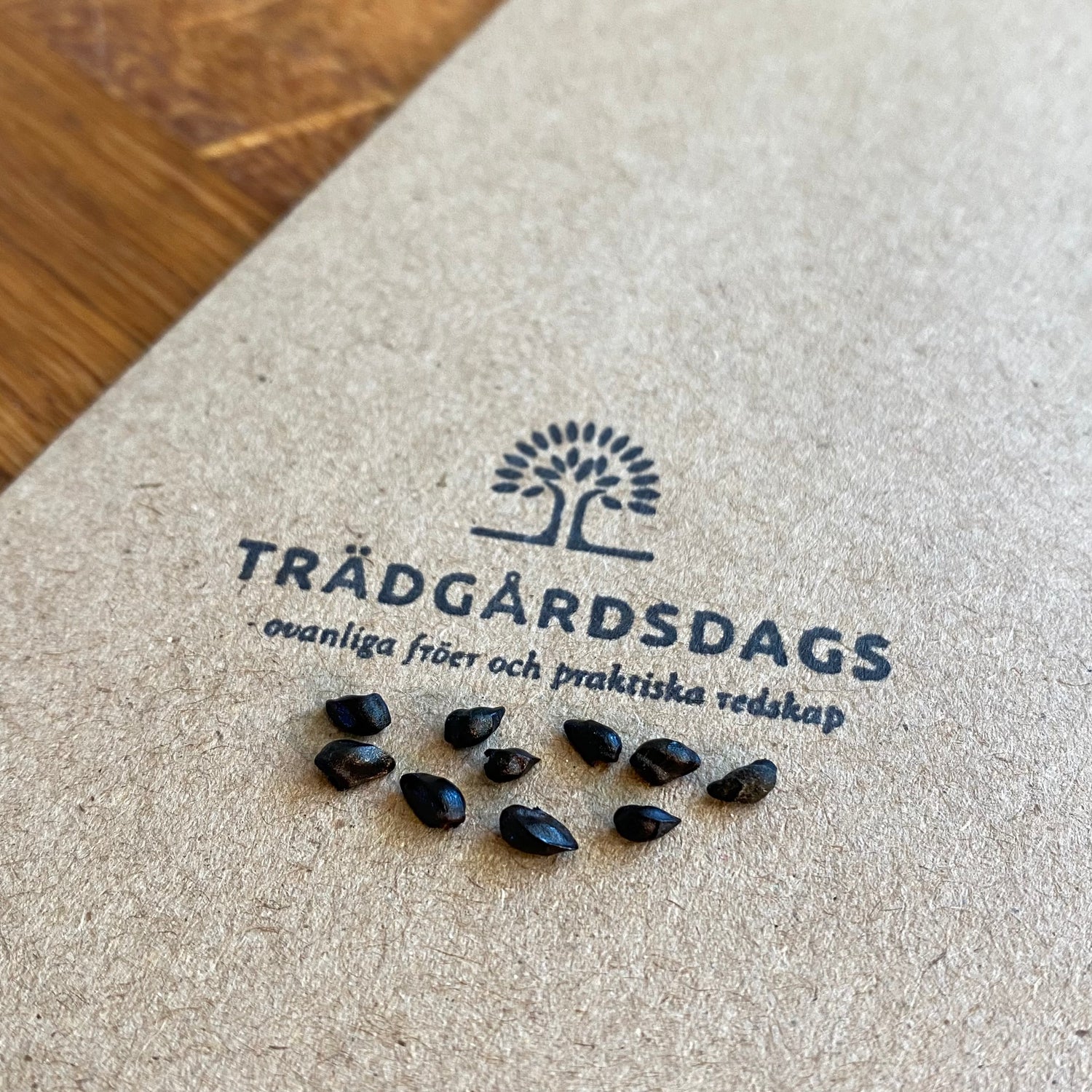 Äkta Vallört (Symphytum officinale)