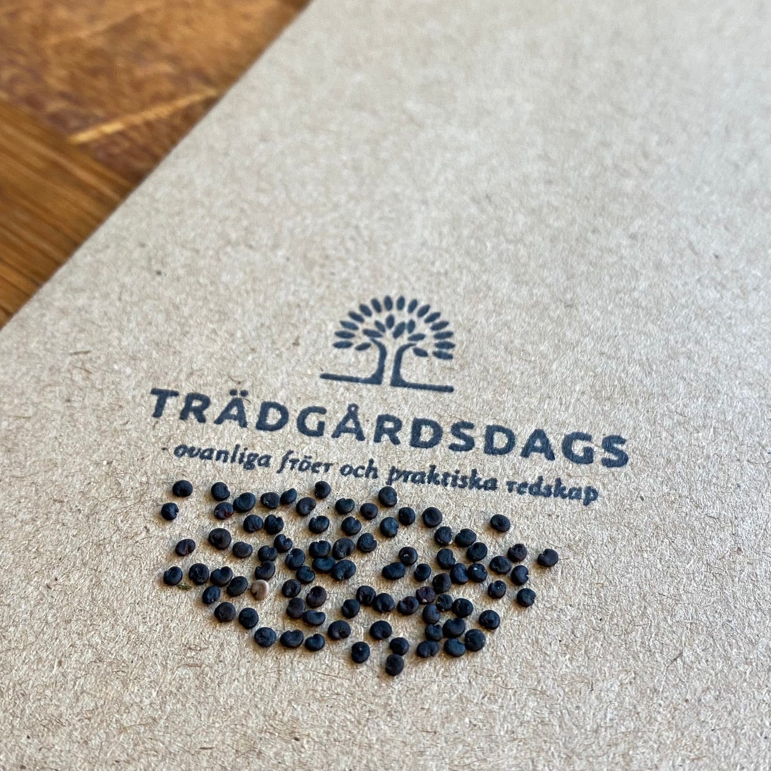 Såpnejlika (Saponaria officinalis)