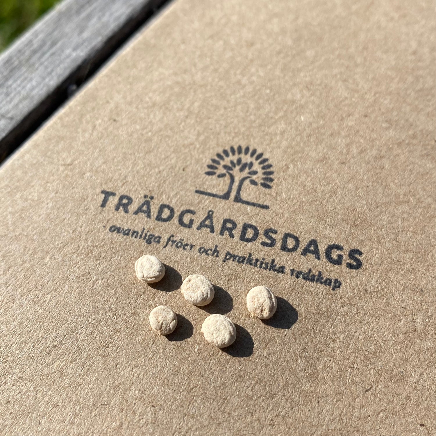 Koreansk Ginseng (Panax ginseng)