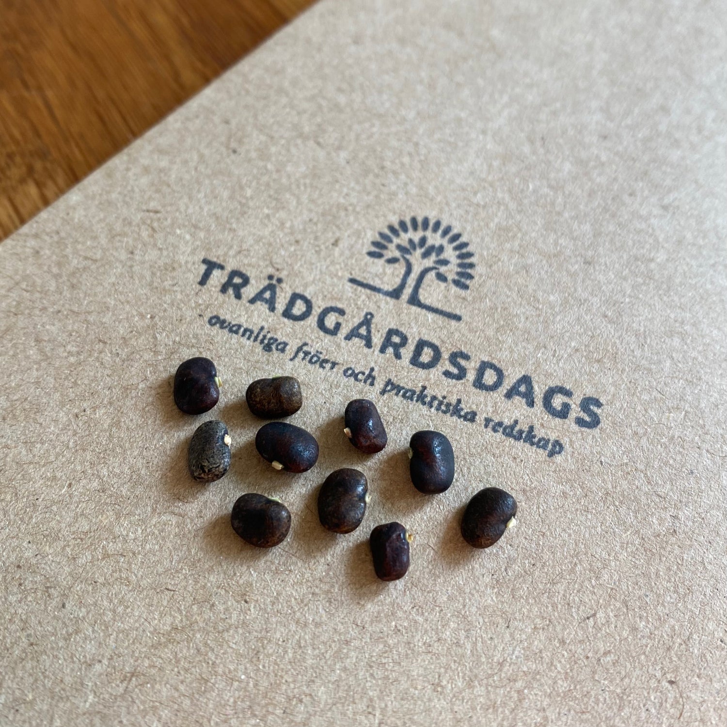 Himmelsärt 'Blue Sky' Fylld Blomma (Clitoria ternatea)