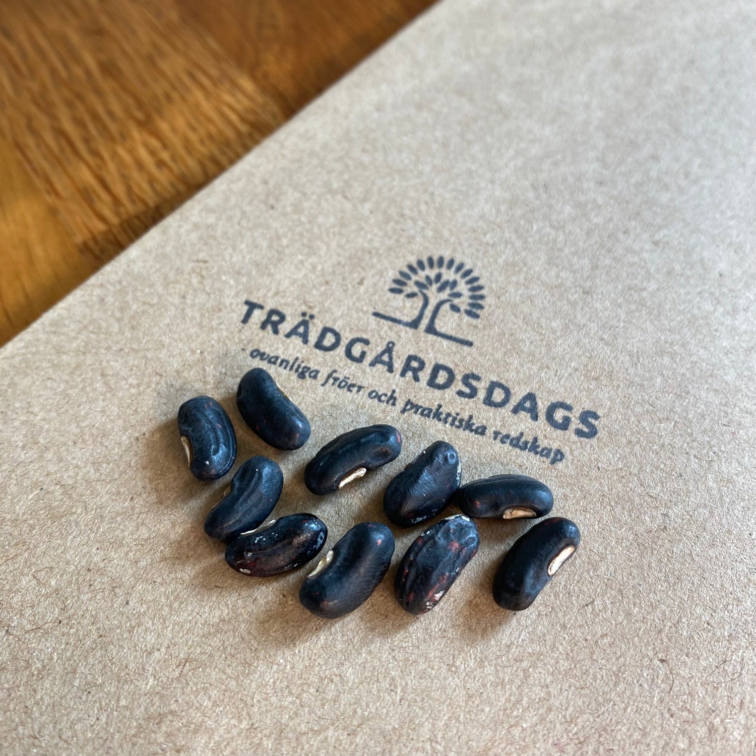 Långböna 'Bicolor' / Sparrisböna (Vigna sesquipedalis)