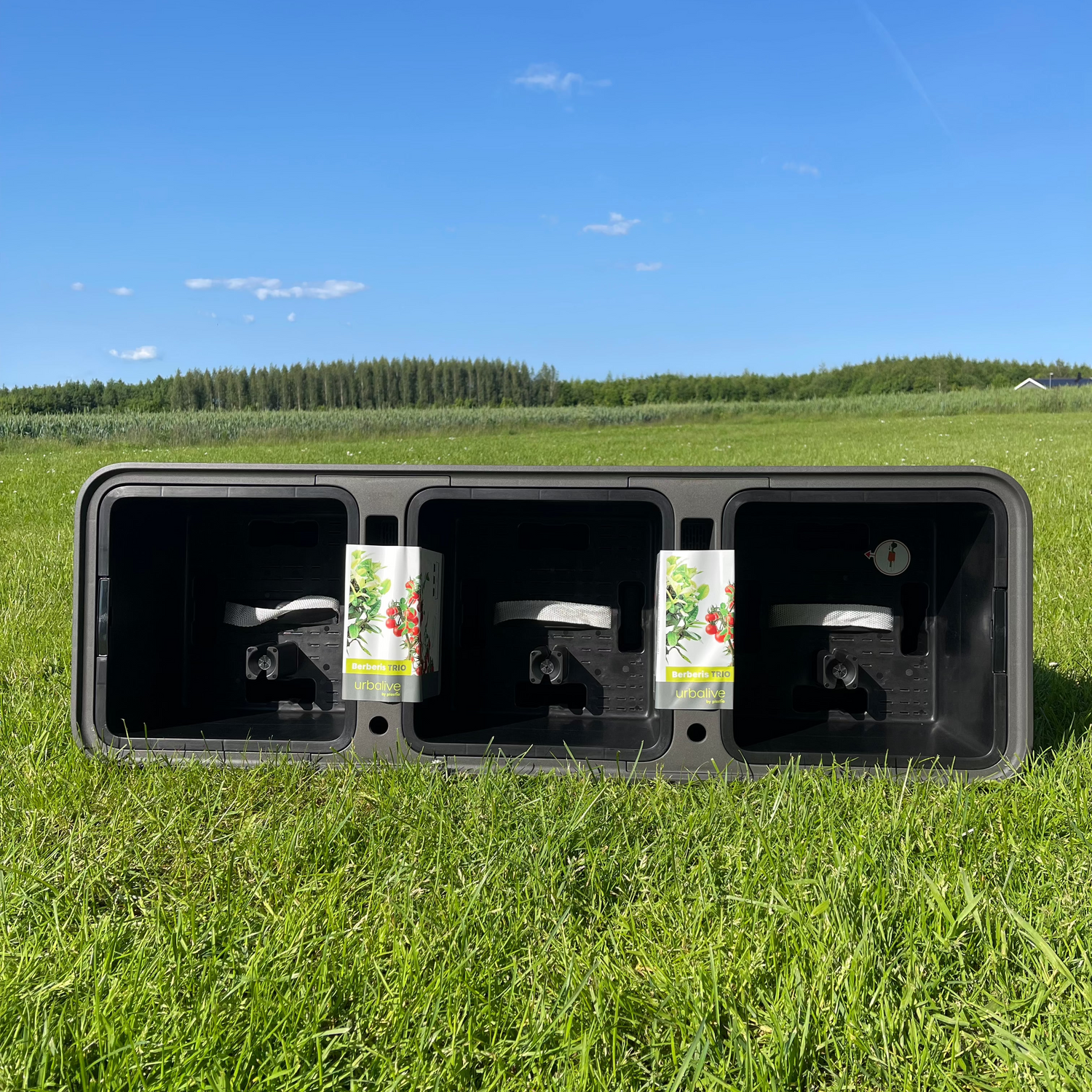 Odlingslåda Berberis TRIO – Antracit