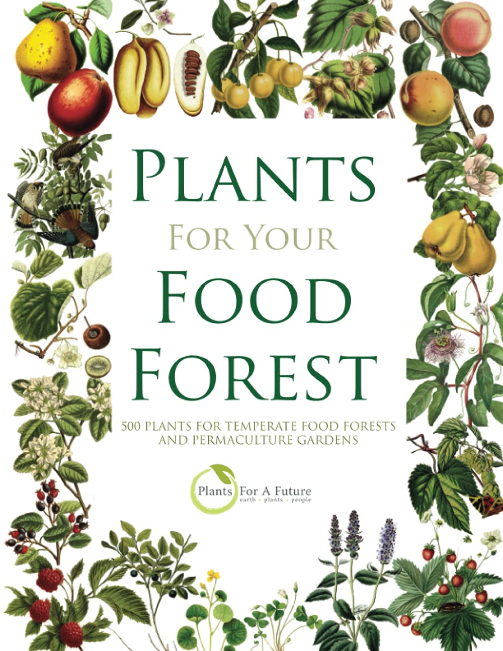Plants for Your Food Forest: 500 Plants for Temperate Food Forests and Permaculture Gardens