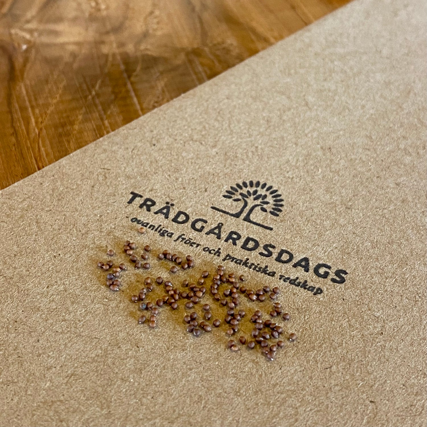 Trädbasilika / Afrikansk Basilika (Ocimum gratissimum)