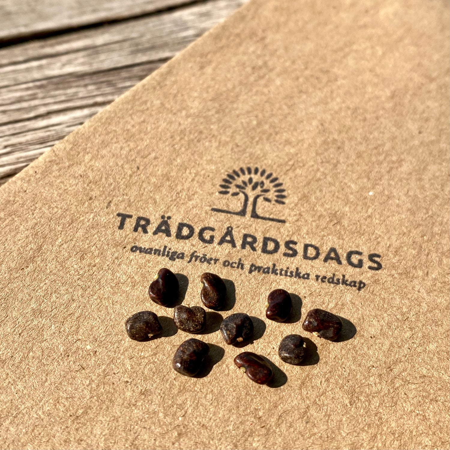 Vit Himmelsärt Fylld Blomma (Clitoria ternatea)