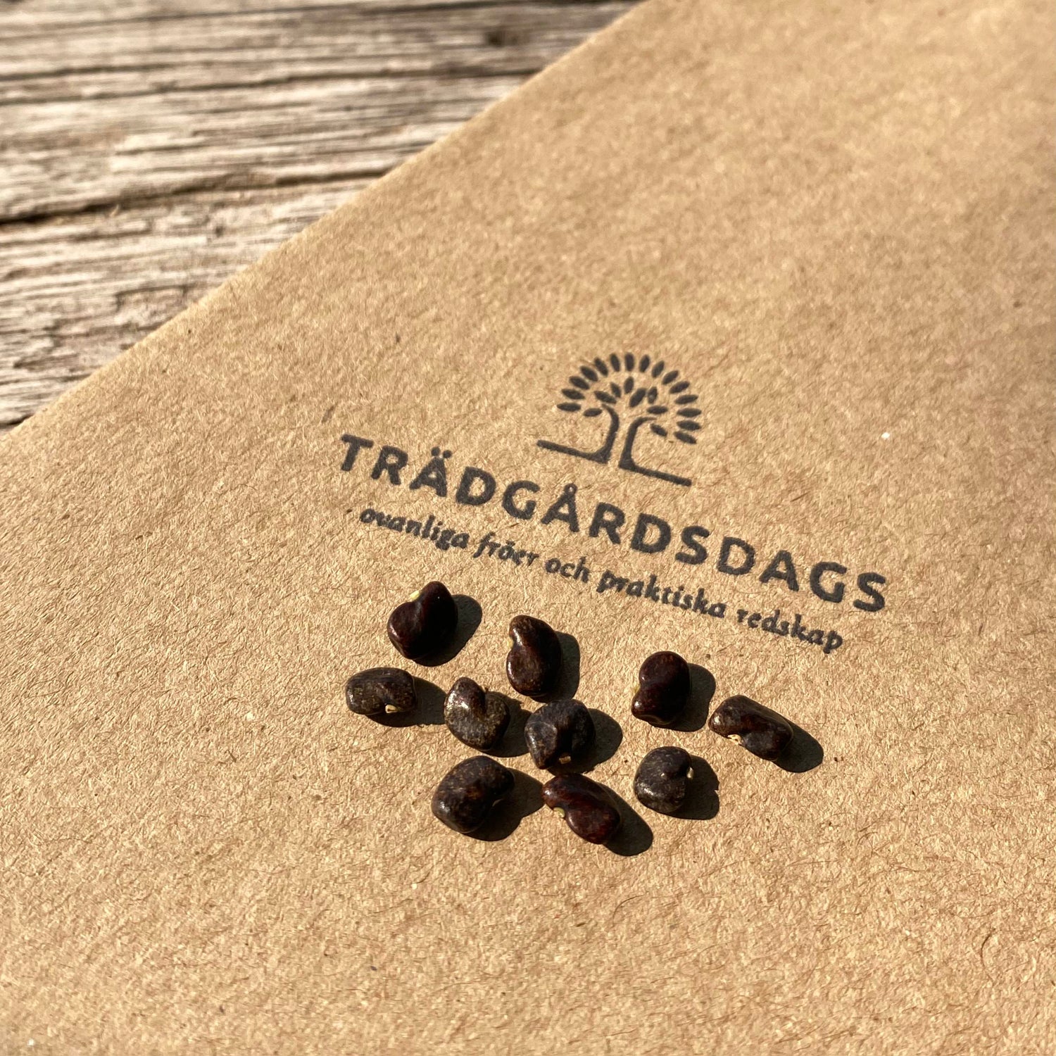 Blå Himmelsärt Dubbla Kronblad (Clitoria ternatea)