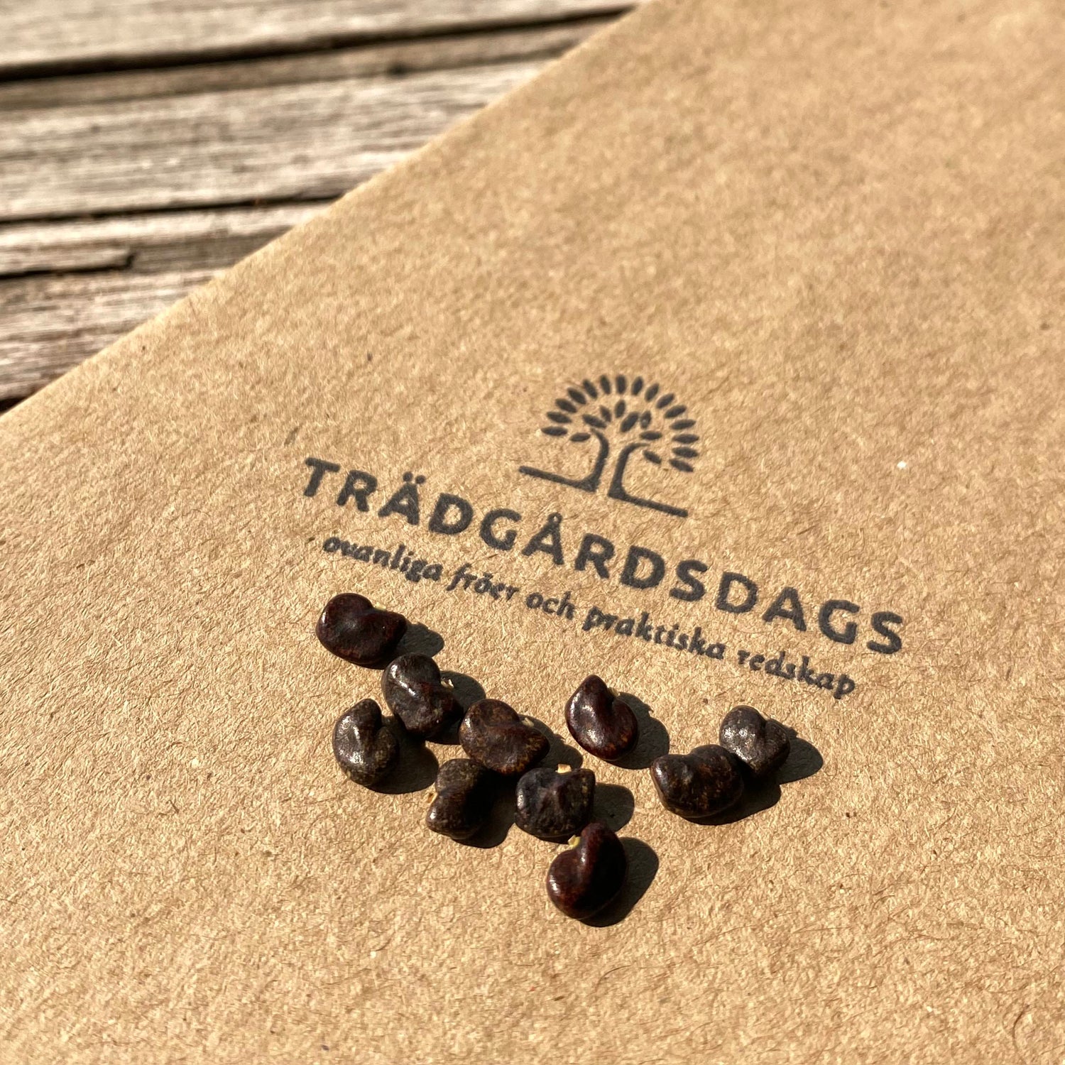 Ljuslila Himmelsärt Dubbla Kronblad (Clitoria ternatea)