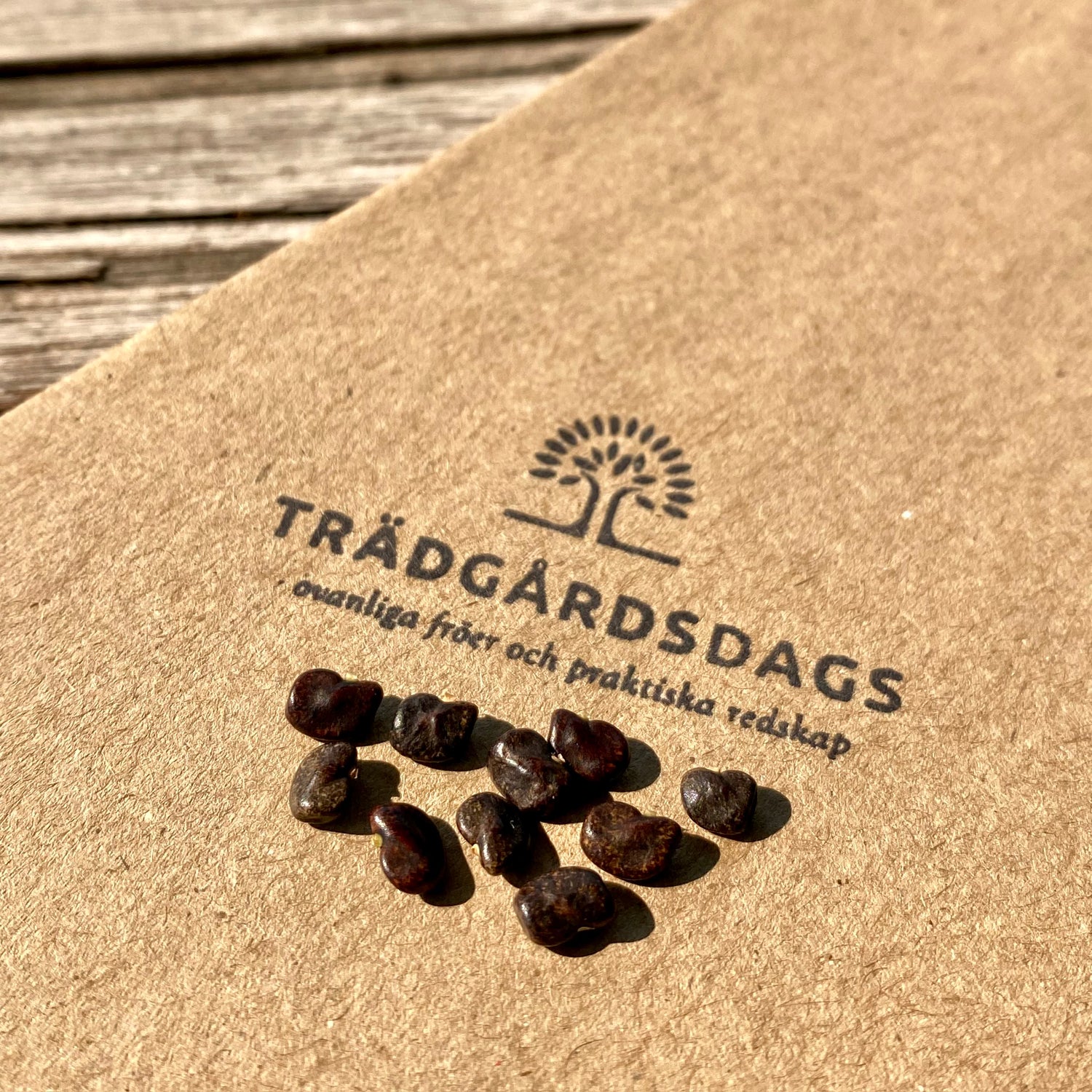 Ljusblå Himmelsärt Dubbla Kronblad (Clitoria ternatea)