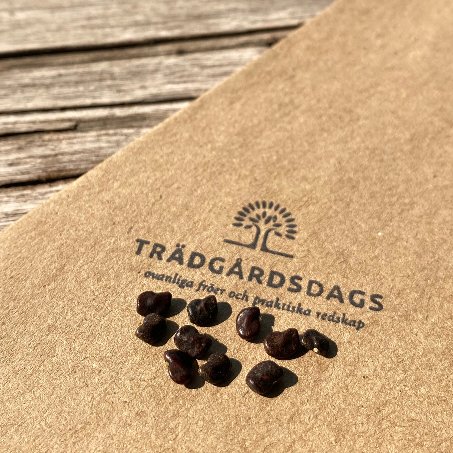 Ljuslila Himmelsärt Fylld Blomma (Clitoria ternatea)