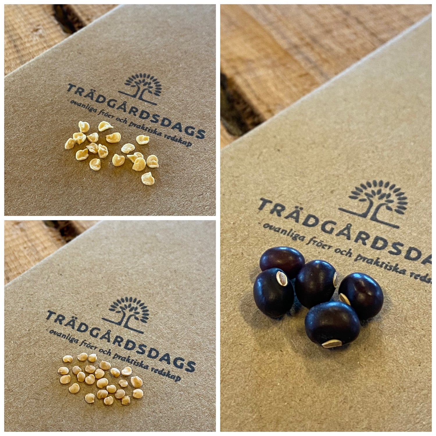 'En Lila Trio' Goaböna, Chili & Thailändsk Aubergine