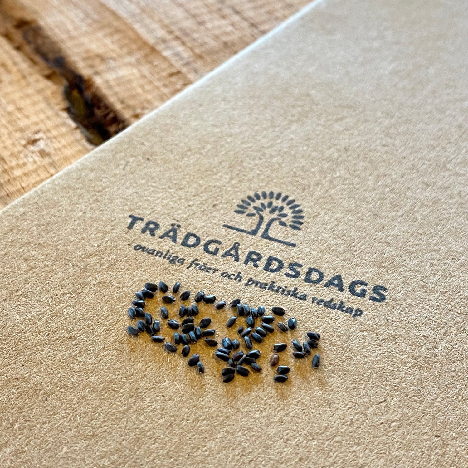 Thaibasilika (Ocimum basilicum var. thyrsiflora)